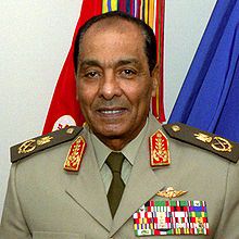 محمد طنطاوي