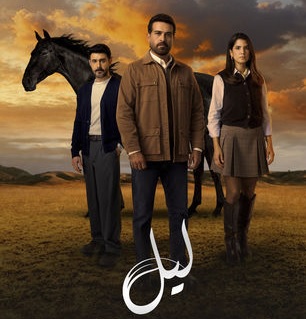 "نجم" في ليل