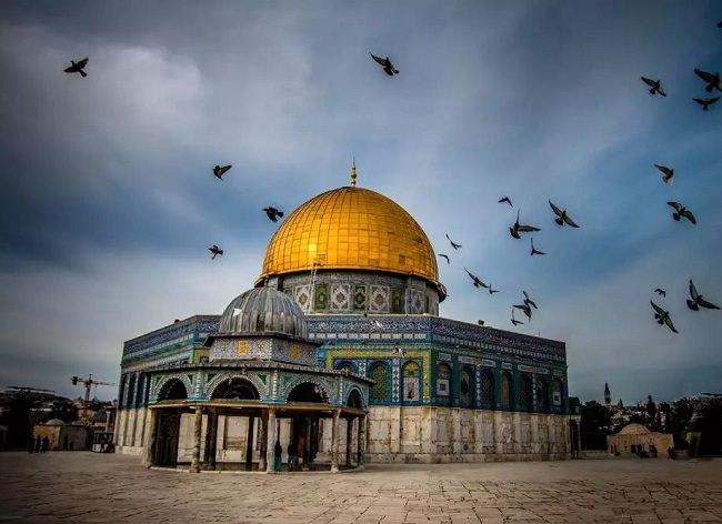 فلسطين