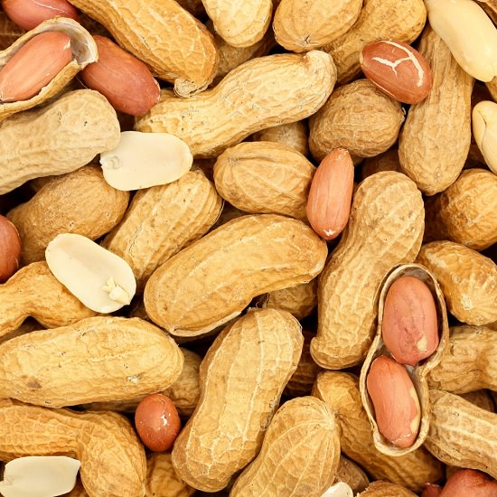 الفول السوداني